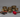 Singing Bowls