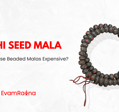 Bodhi Seed Mala: Why Are These Beaded Malas Expensive?