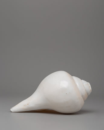 Sankha (Conch Shell): Primordial Sound of Dharma