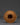 Artifact Box