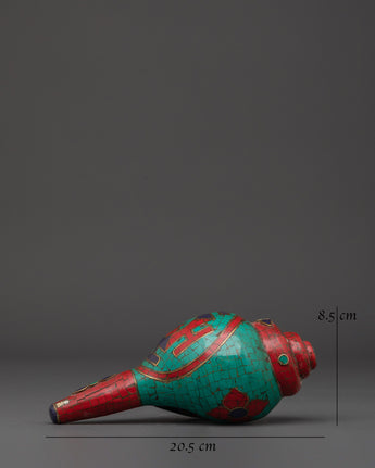 conch-for-altar