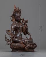 Hamsvara Nadini Tara