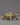 Brass Turtle