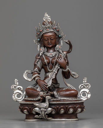 arya saraswati