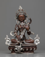 arya saraswati