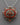 Natural Coral Locket
