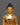 siddhartha the buddha
