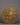 Round Brass Lion