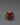 Buddhist Ring