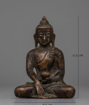 The Shakyamuni Buddha