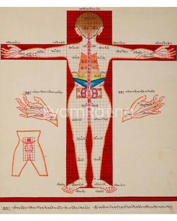 Human Body Anatomy Thangka Art