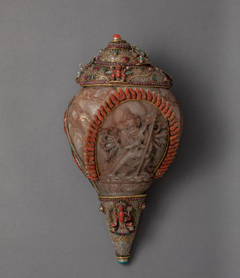 conch-shell-antique-sankha