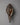 Wheel of Life Conch Shell