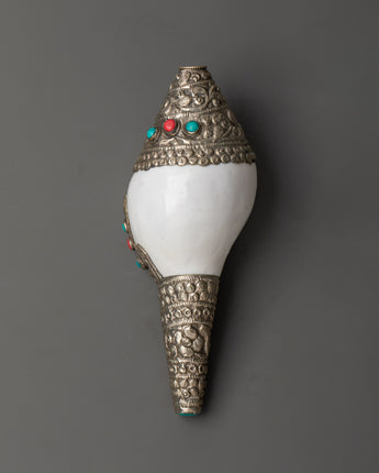 conch-sacred-ritual-item