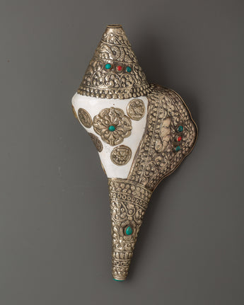 tibetan-conch-for-rituals