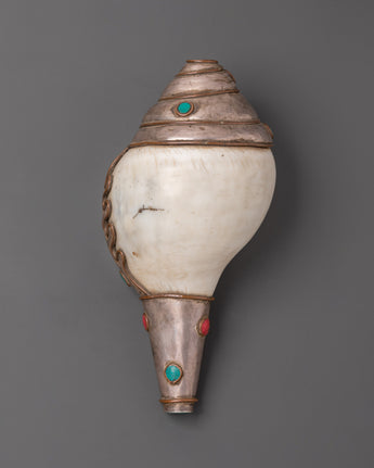 conch-spiritual-tool