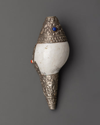 tibetan-conch-shell