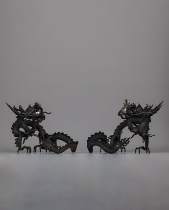 Dragon Set