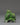 Decorative Himalayan Owl Figure