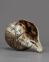 Green Tara Cronch Shell |