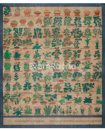 Himalayan Medical Plants Thangka