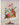 Himalayan Thangka of Guru Rinpoche With Consort