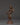 standing-tara