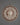 Shakyamuni Buddha Wall Hanging with 12 Zodiac Signs | Sacred Buddhist Wall Decor