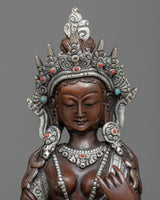arya saraswati