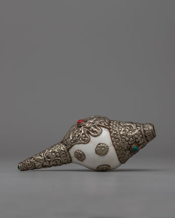 Decorative Silver Conch Shell