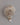 Yama Dharmaraja Engraved Conch