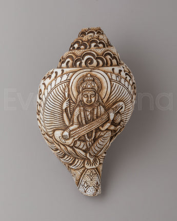 Saraswati Carved Conch