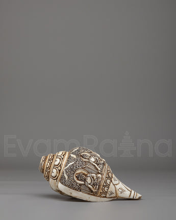 Himalayan Buddhist Conch