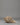 Himalayan Sacred Conch | Tibetan Ritual Conch Shell