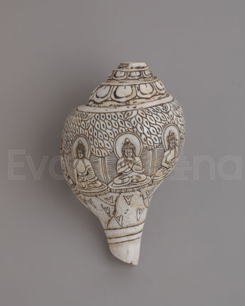 Dhyani Buddha Engraved Conch