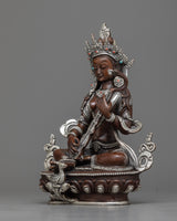 arya saraswati