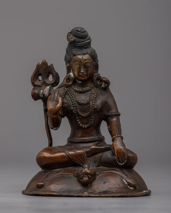 Yogi Shiva Statue