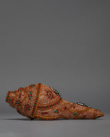 Conch Shell Instrument