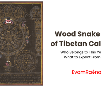 Wood Snake Year of Tibetan Calendar: Who Belongs to This Year and What to Expect From This!