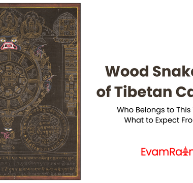 Wood Snake Year of Tibetan Calendar: Who Belongs to This Year and What to Expect From This!