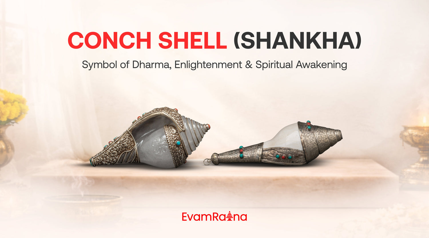 Conch Shell (Shankha): Symbol of Dharma, Enlightenment & Spiritual Awakening