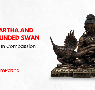 Siddhartha and the Wounded Swan: A Lesson in Compassion