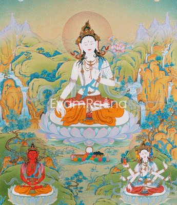 Tara Prints