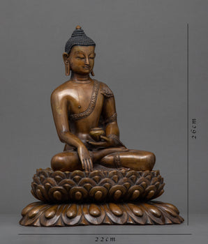 Antique Shakyamuni Buddha Statue Design | Himalayan Buddhist Sacred Art