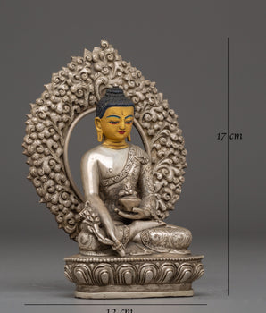 Medicine Buddha Statue : True Spiritual Healer