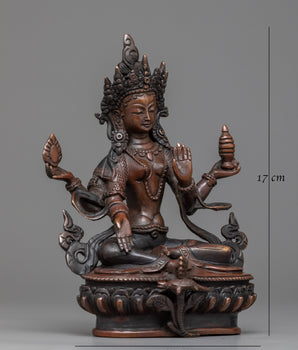 Devi laxmi