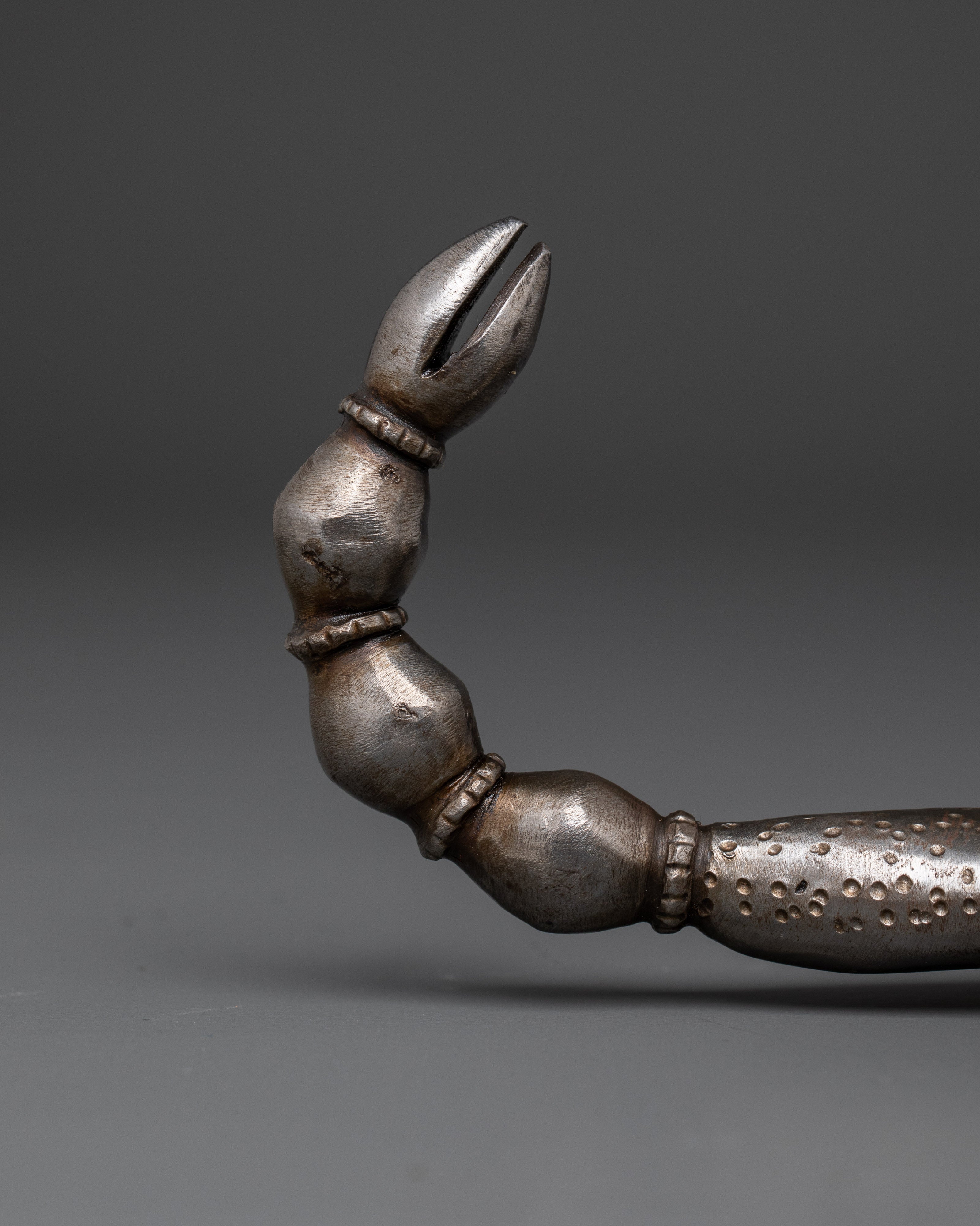 Iron Scorpion Decor with Tibetan Ritual Demon Handle