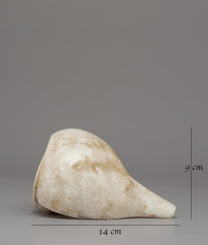 Conch Shell Buddhist Bangel | Symbol of Mindful Living and Spiritual Devotion