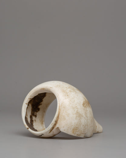 Conch Shell Buddhist Bangel | Symbol of Mindful Living and Spiritual Devotion