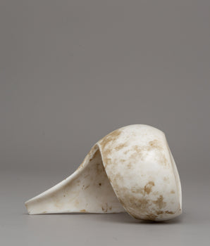 Conch Shell Buddhist Bangel | Symbol of Mindful Living and Spiritual Devotion